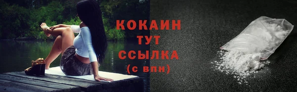 крисы Липки