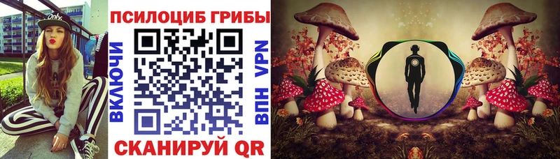 Псилоцибиновые грибы мухоморы  где продают наркотики  Шарыпово 